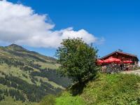 Österreich - Farmkehralm - Am Ziel bei der Farmkehralm